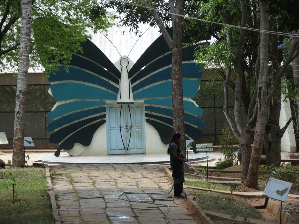 Butterfly Park -Bannerghatta