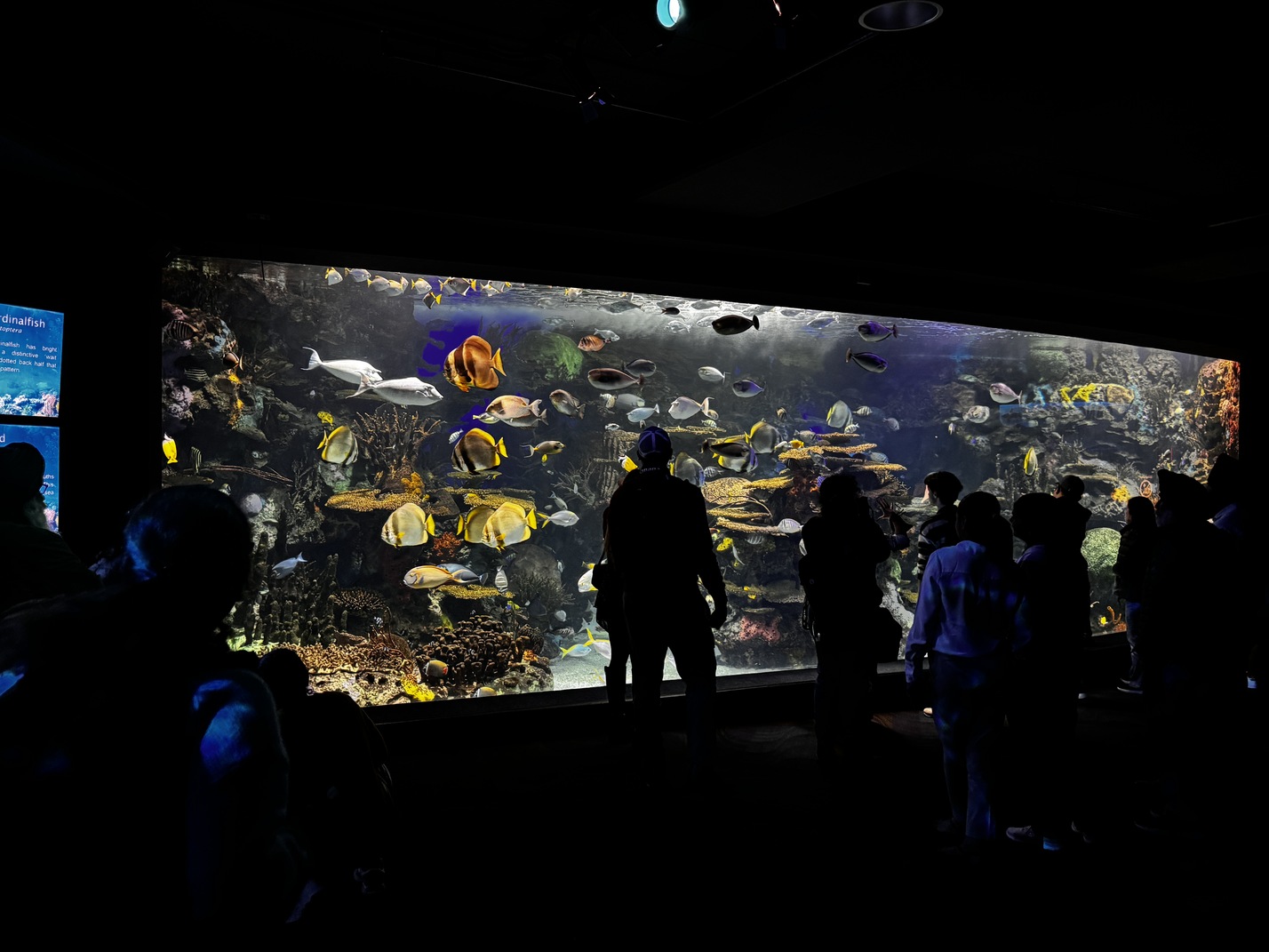 Ripley's Aquarium