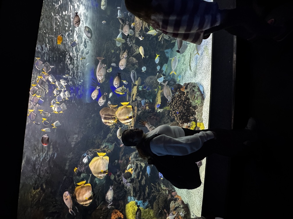 Ripley's Aquarium